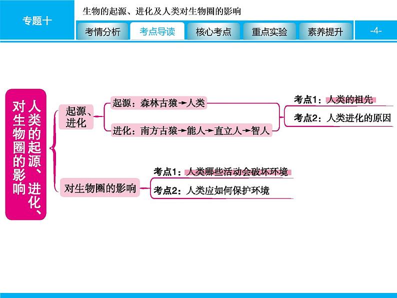 初中生物中考复习 专题十　生物的起源、进化及人类对生物圈的影响 课件 2021届中考生物一轮复习第4页