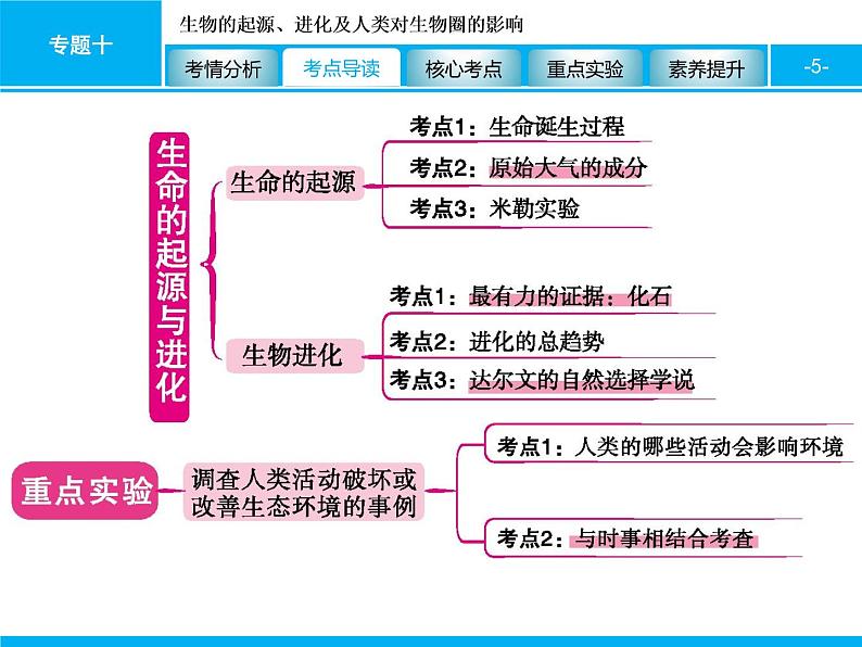 初中生物中考复习 专题十　生物的起源、进化及人类对生物圈的影响 课件 2021届中考生物一轮复习第5页