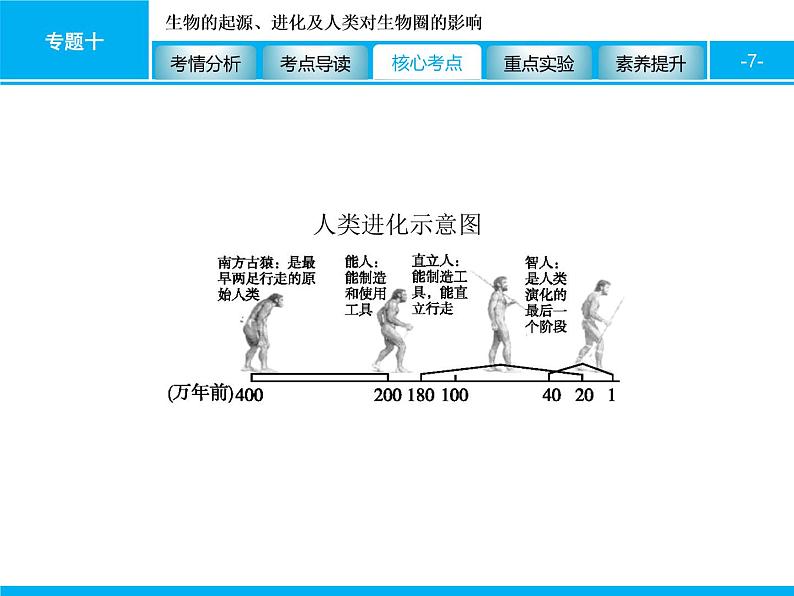 初中生物中考复习 专题十　生物的起源、进化及人类对生物圈的影响 课件 2021届中考生物一轮复习第7页