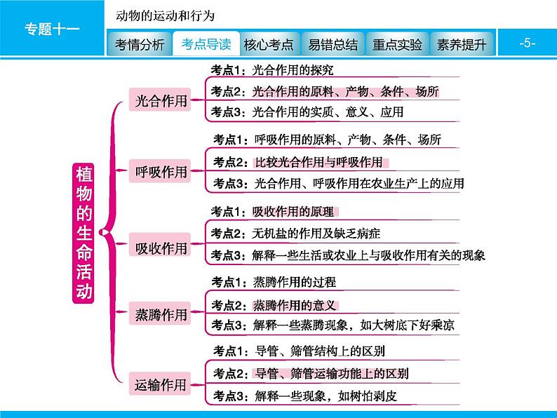 初中生物中考复习 专题四　生物圈中的绿色植物(生命活动) 课件 2021届中考生物一轮复习05