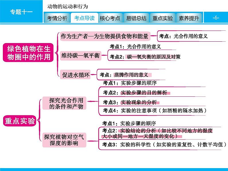 初中生物中考复习 专题四　生物圈中的绿色植物(生命活动) 课件 2021届中考生物一轮复习06