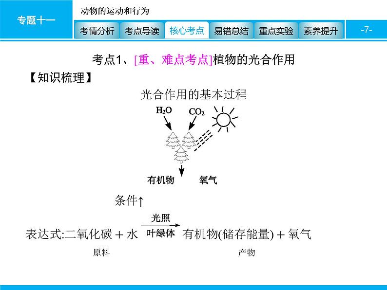 初中生物中考复习 专题四　生物圈中的绿色植物(生命活动) 课件 2021届中考生物一轮复习07