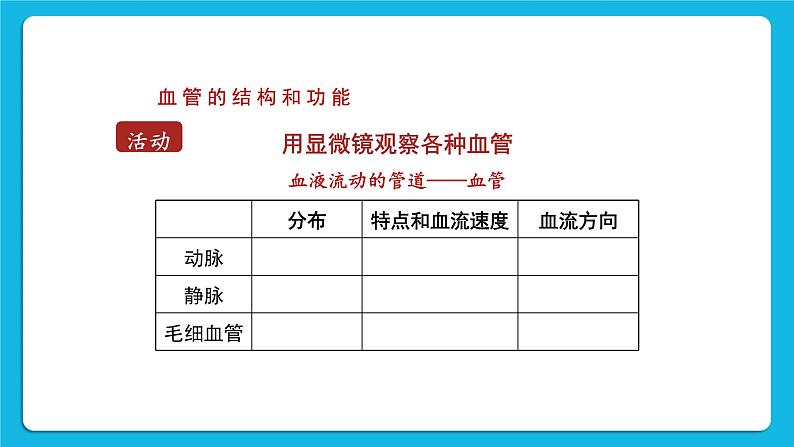 第1课时 血管和心脏 课件第8页