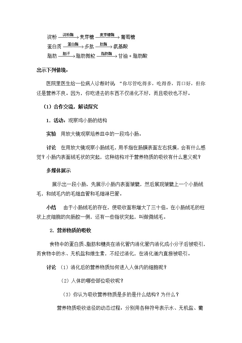 第2课时 食物的消化与营养物质的吸收 教案第3页