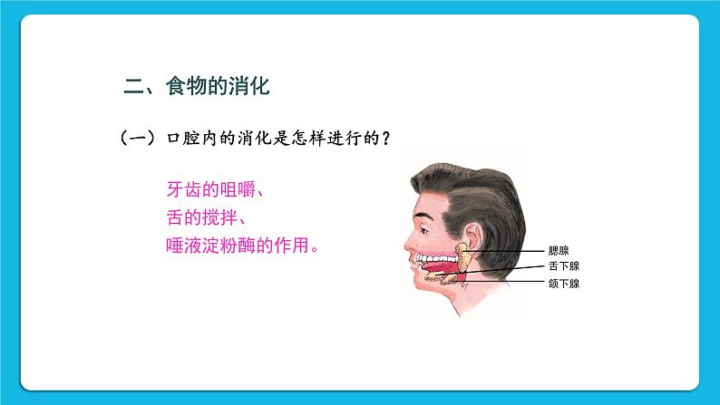 第2课时 食物在胃和小肠内的消化 营养物质的吸收 课件第3页