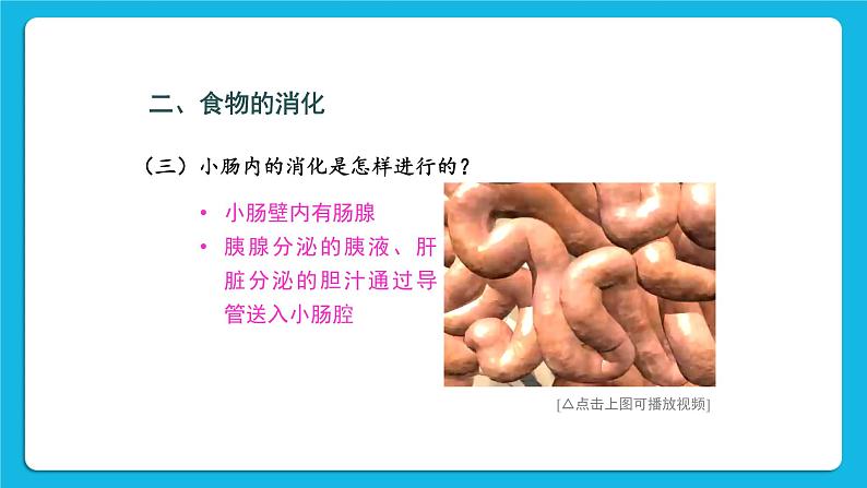 第2课时 食物在胃和小肠内的消化 营养物质的吸收 课件第7页