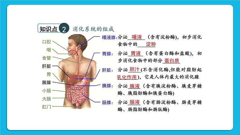 章末复习 课件第5页