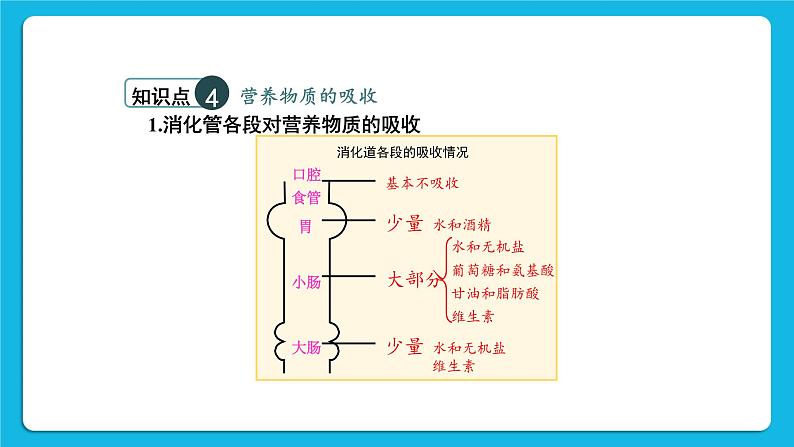 章末复习 课件第7页