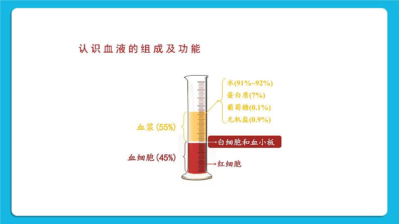 第9章 人体内的物质运输 第1节 血液 课件+教案04