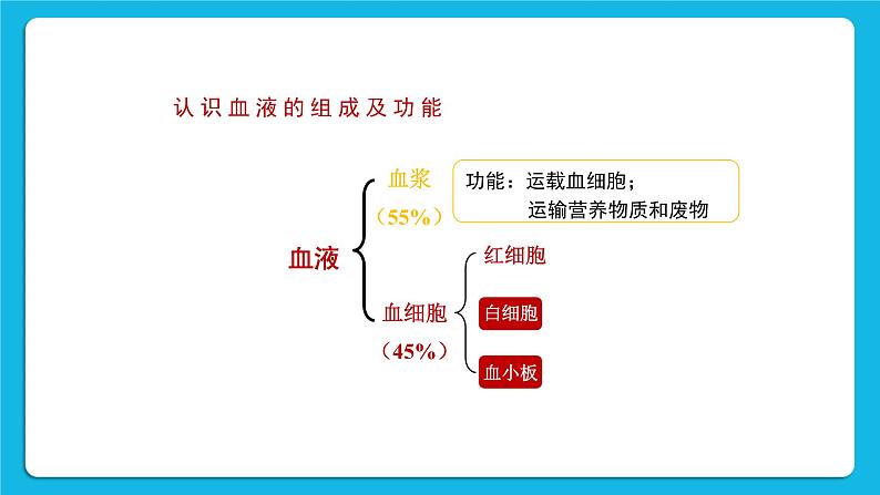 第9章 人体内的物质运输 第1节 血液 课件+教案05