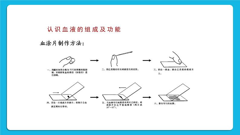第9章 人体内的物质运输 第1节 血液 课件+教案06