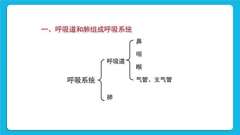 第10章 人体的能量供应 第2节 人体细胞获得氧气的过程 第1课时 呼吸系统的组成与功能 课件+教案+素材04