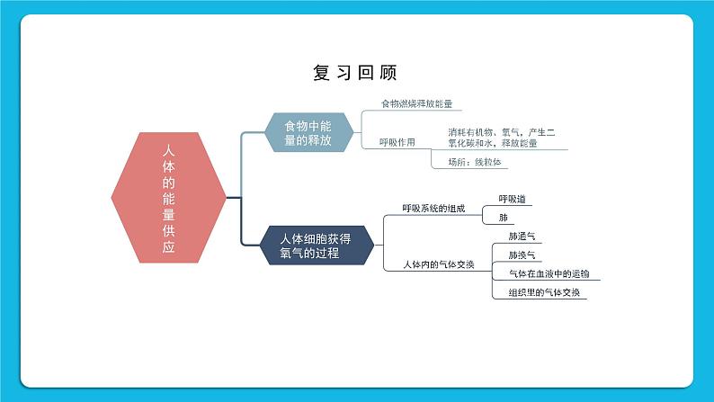 第10章 人体的能量供应 章末复习 课件02