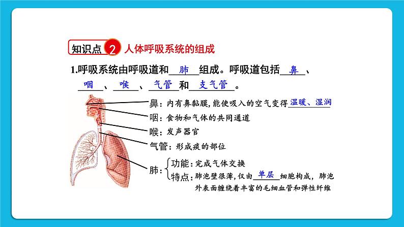 第10章 人体的能量供应 章末复习 课件04