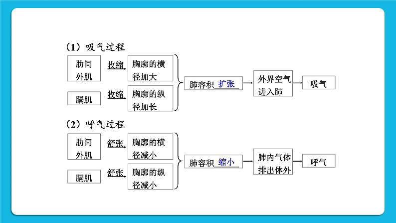 第10章 人体的能量供应 章末复习 课件06