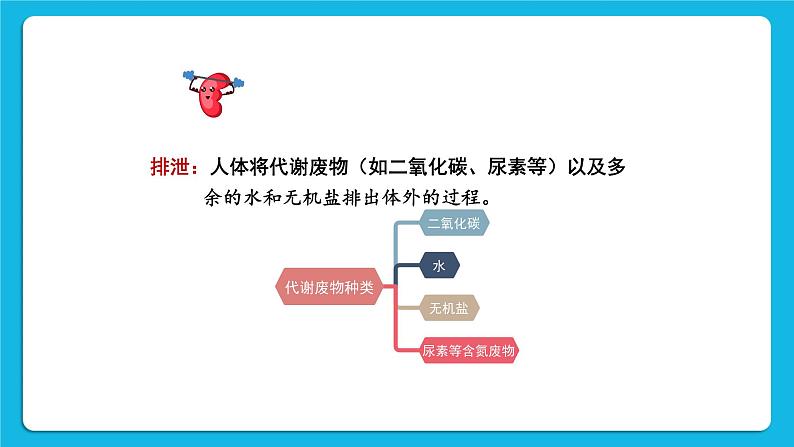 第11章 人体代谢废物的排出 第1节 人体产生的代谢废物 课件+教案07