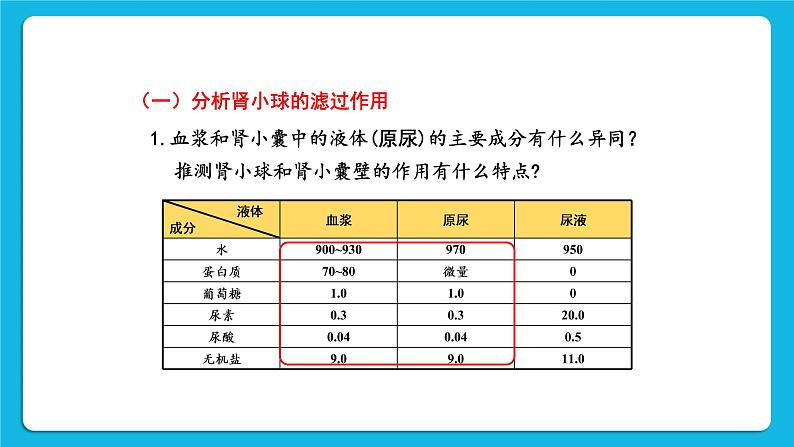 第2课时 尿的形成与排出 课件第8页