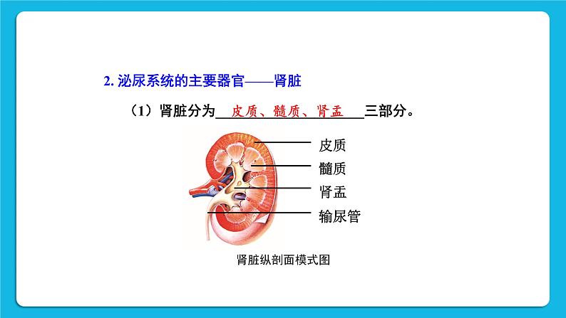 章末复习 课件第7页