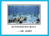 第7单元 生命的演化 第21章 生命的发生和发展  第2节 生物进化 第1-2课时 课件2+教案+素材