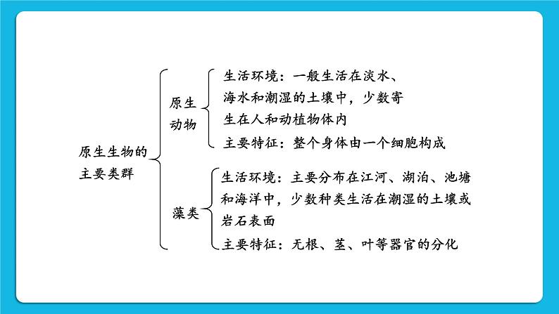 第7单元 生命的演化 第22章 物种的多样性 章末复习 课件03