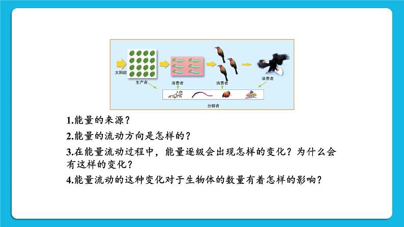 第8单元 生物与环境 第23章 生态系统及其稳定性  第3节 生态系统的结构和功能 第1-2课时 课件2+教案+素材07