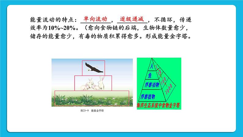 第8单元 生物与环境 第23章 生态系统的稳定性 本章小结 课件07