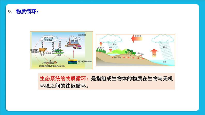 第8单元 生物与环境 第23章 生态系统的稳定性 本章小结 课件08