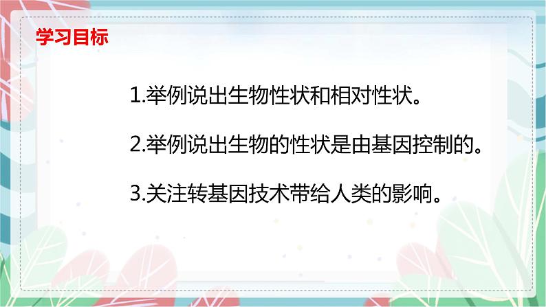 7.2.1 基因控制生物的性状-课件（人教版）02