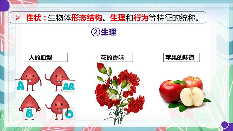 7.2.1 基因控制生物的性状-课件（人教版）08