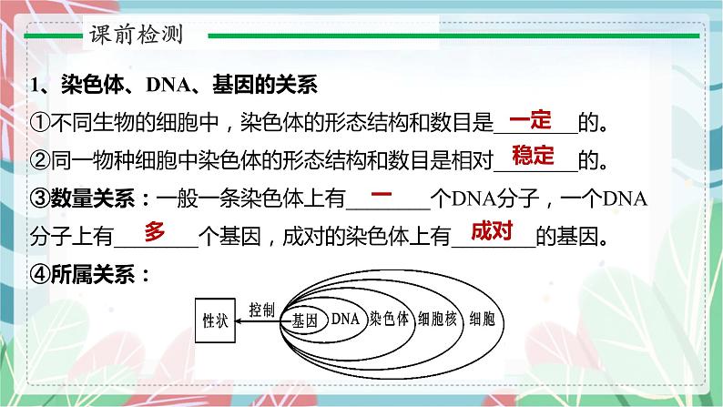 7.2.3 基因的显性和隐性-课件（人教版）第2页