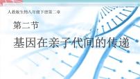 初中生物人教版 (新课标)八年级下册第二节  基因在亲子代间的传递授课ppt课件