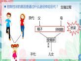 7.2.2 基因在亲子代间的传递-课件（人教版）