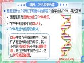 7.2.2 基因在亲子代间的传递-课件（人教版）