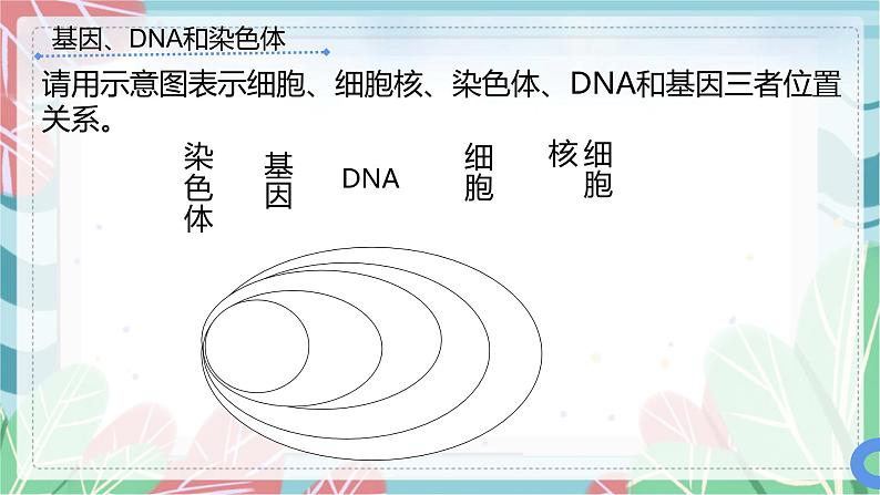 7.2.2 基因在亲子代间的传递-课件（人教版）第7页