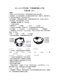 河北省石家庄市赵县2022-2023学年七年级上学期期末生物试题