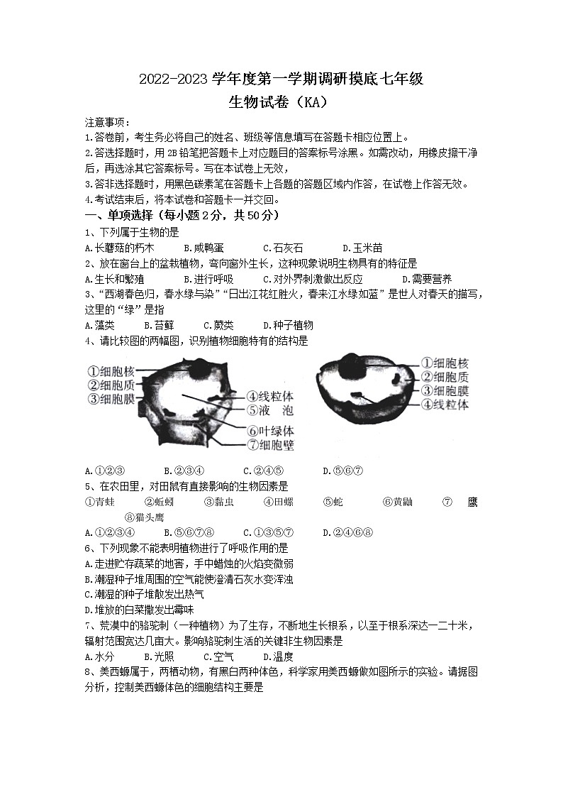 河北省石家庄市赵县2022-2023学年七年级上学期期末生物试题第1页