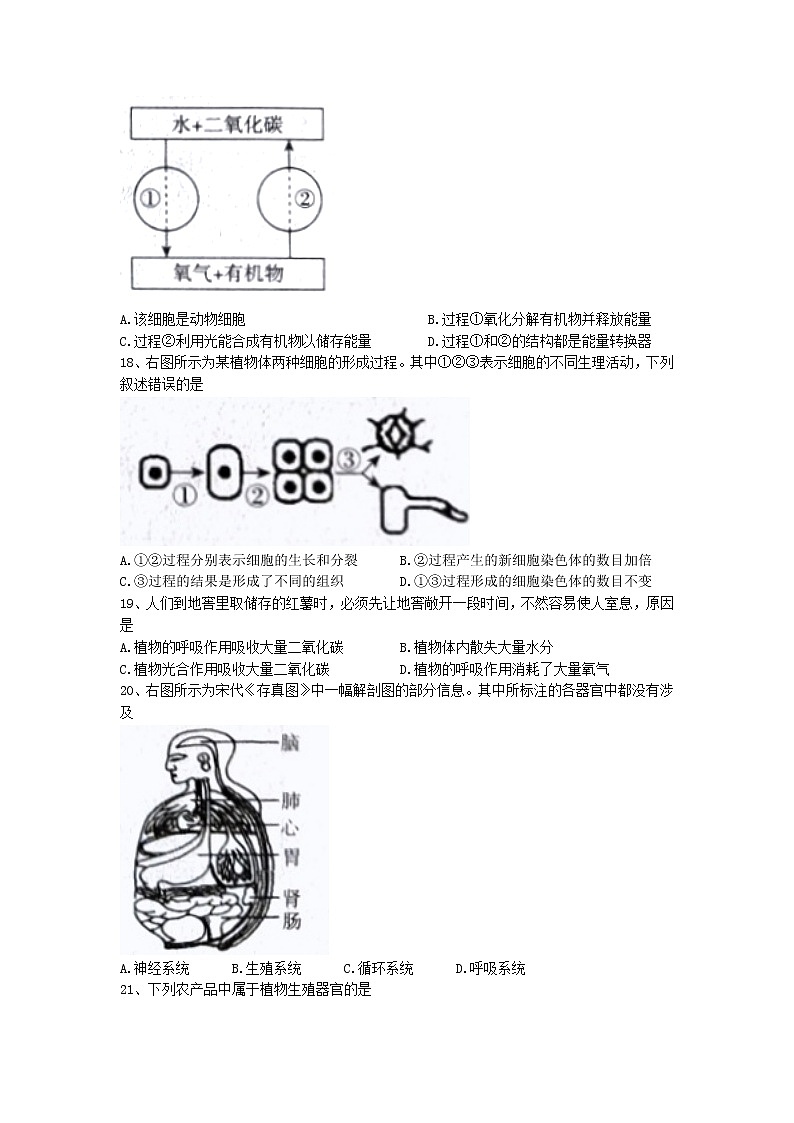 河北省石家庄市赵县2022-2023学年七年级上学期期末生物试题第3页