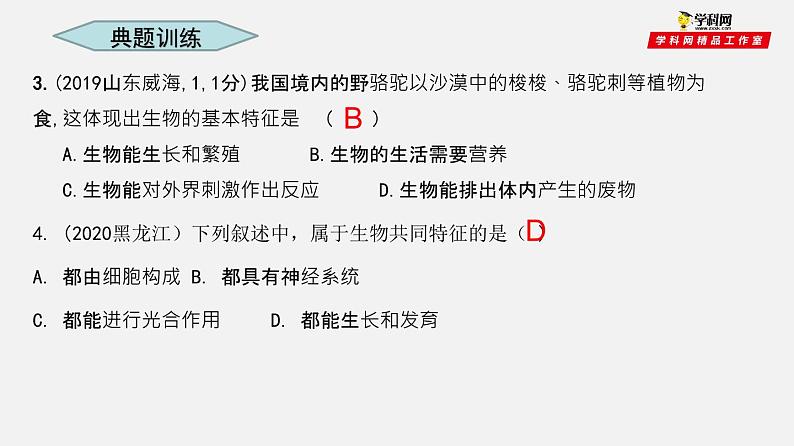 初中生物中考复习 专题01 生物和生物圈（课件）-2021年中考生物一轮复习讲练测第5页