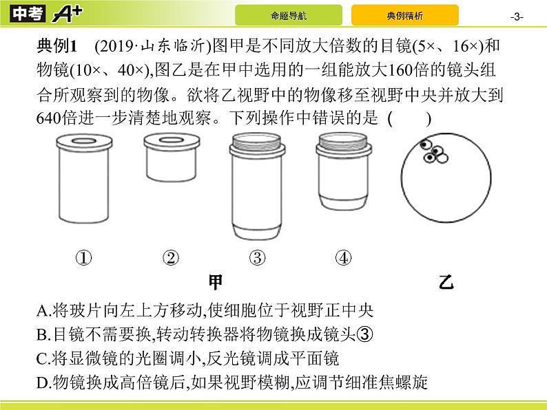 初中生物中考复习 专题1　生物体的结构层次课件PPT第3页