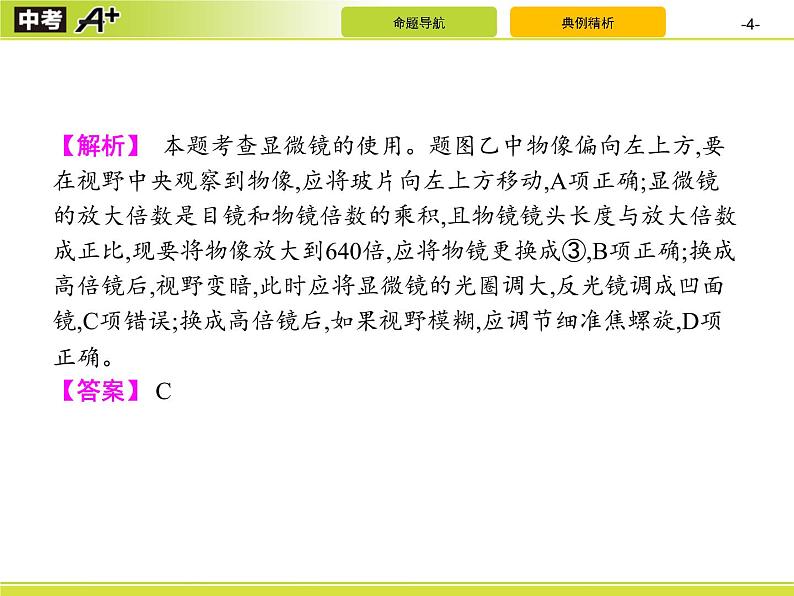 初中生物中考复习 专题1　生物体的结构层次课件PPT第4页