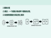 初中生物中考复习 专题02 生物体的结构层次-冲刺2022年中考生物重点难点热点突破精讲课件