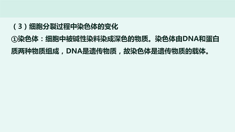 初中生物中考复习 专题02 生物体的结构层次-冲刺2022年中考生物重点难点热点突破精讲课件第7页