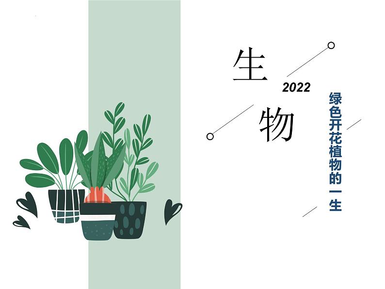 初中生物中考复习 专题03 绿色开花植物的一生-冲刺2022年中考生物重点难点热点突破精讲课件01