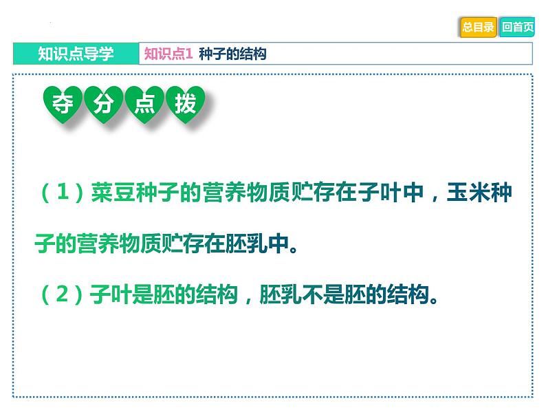 初中生物中考复习 专题03 绿色开花植物的一生-冲刺2022年中考生物重点难点热点突破精讲课件06