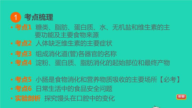 初中生物中考复习 专题04 生物圈中的人-冲刺2022年中考生物重点难点热点突破精讲课件第3页