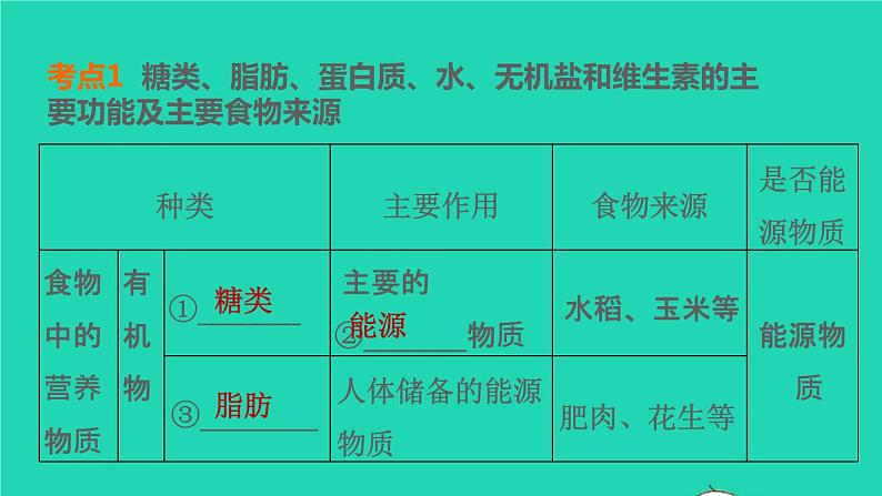 初中生物中考复习 专题04 生物圈中的人-冲刺2022年中考生物重点难点热点突破精讲课件第4页