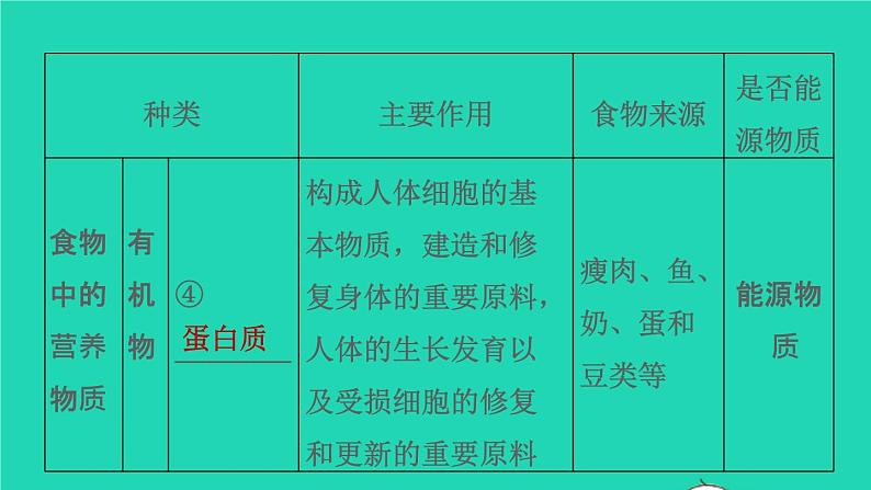 初中生物中考复习 专题04 生物圈中的人-冲刺2022年中考生物重点难点热点突破精讲课件第5页