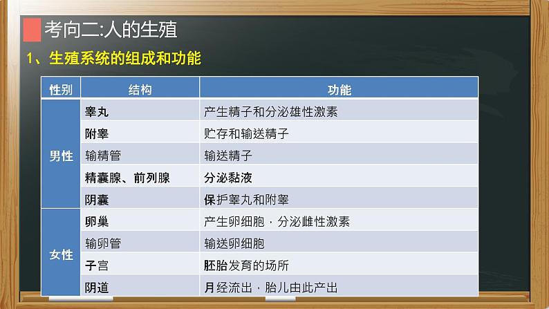 初中生物中考复习 专题05 人的由来-【备考无忧】2022年中考生物复习核心考点复习精优课件06