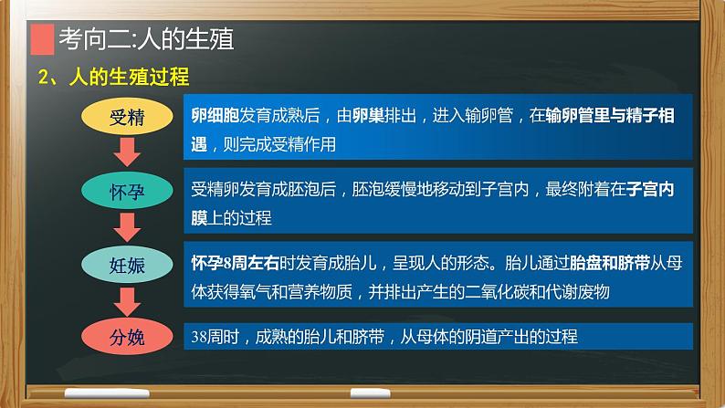 初中生物中考复习 专题05 人的由来-【备考无忧】2022年中考生物复习核心考点复习精优课件07