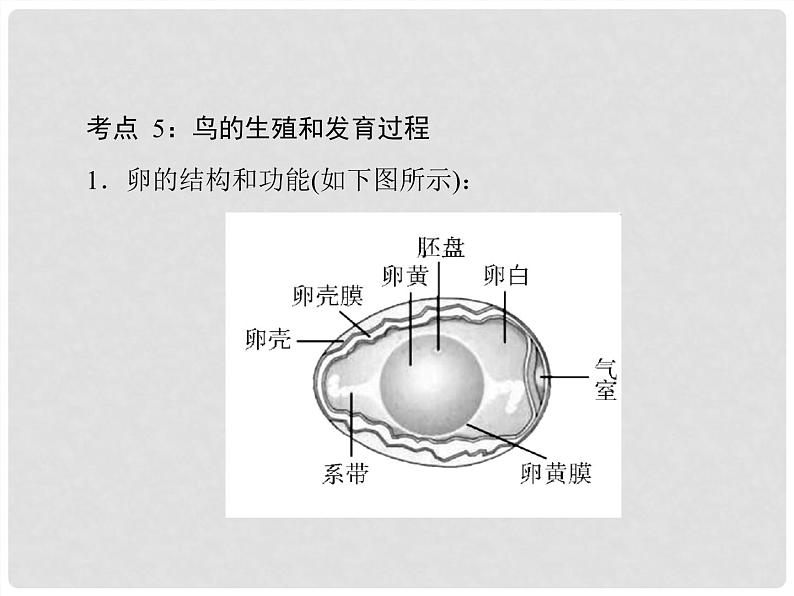 初中生物中考复习 专题05 生物的生殖和发育-冲刺2022年中考生物重点难点热点突破精讲课件08